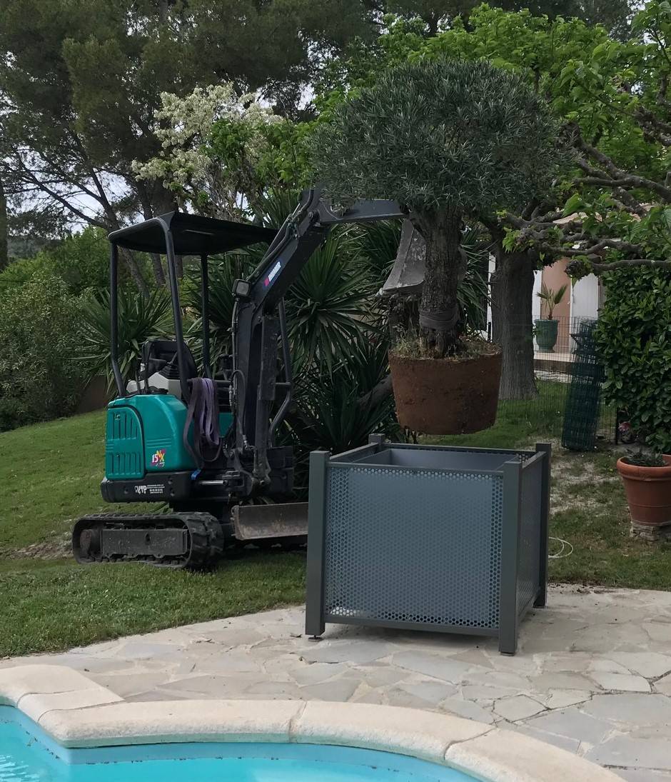 Mise en place du bac et de l'olivier à l'aide d'une minipelle