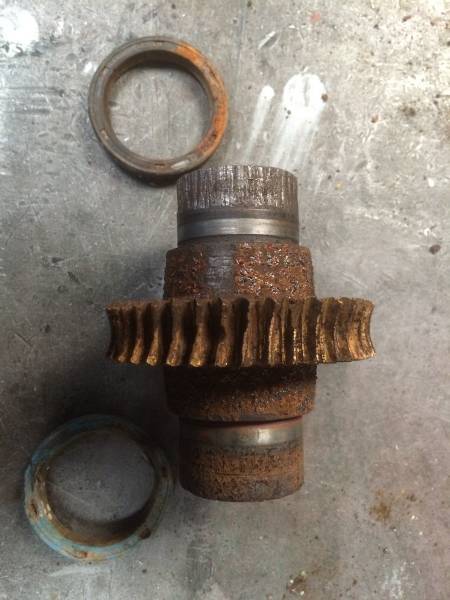 Train d'arbre avec couronne en bronze usagée